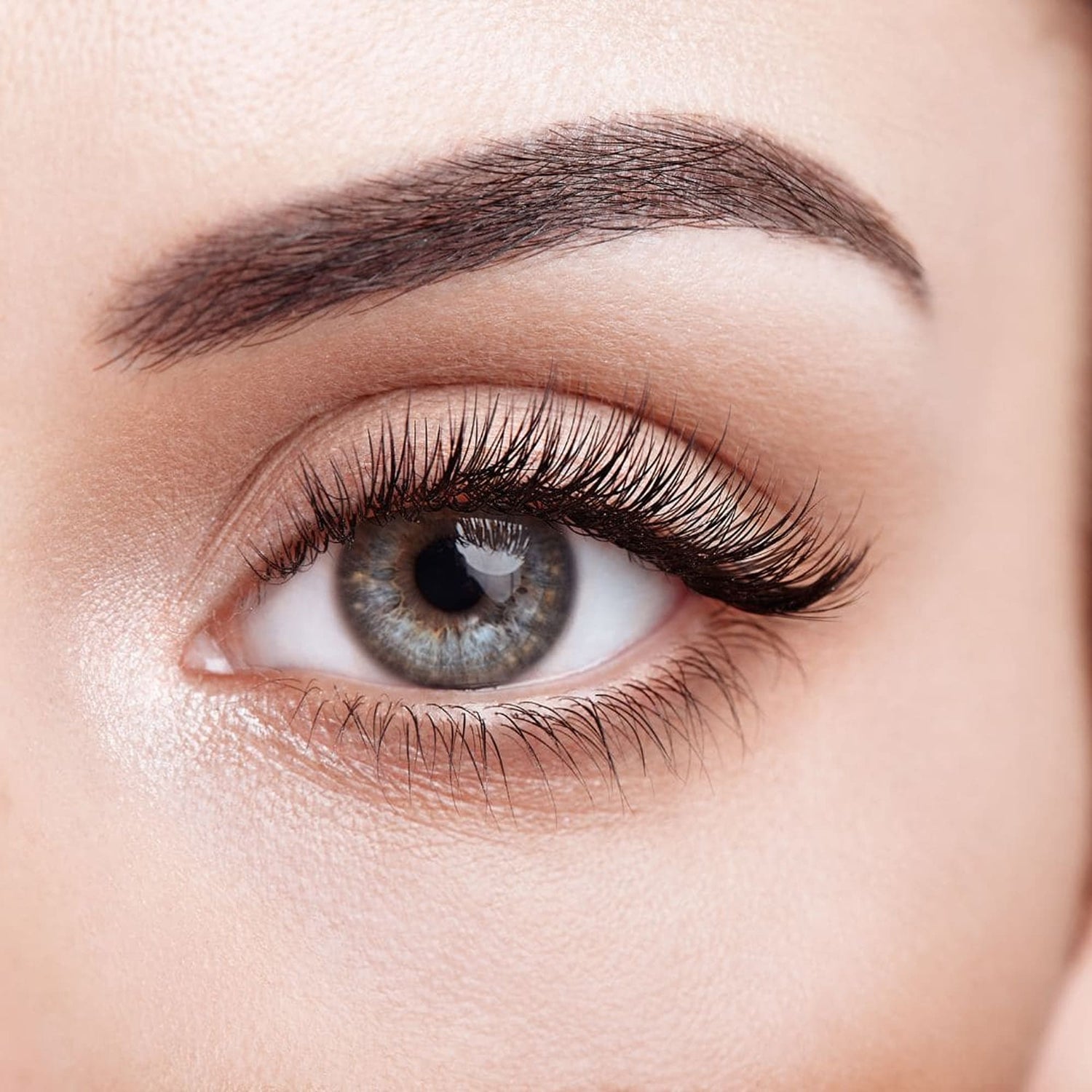 Productos de la Belleza de la mirada